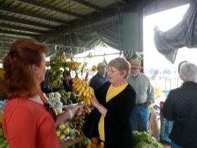 Picking bananas in Cayo District, Belize – Best Places In The World To Retire – International Living